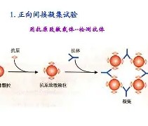 九游体育下载-包含?j?B?膞蹶Y/客襜0罕}?6槱???E	籑vLP現aT钄?宍^趂?€e?蔡Rjh?